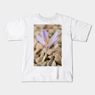 Crocus cancellatus subspecies cancellatus  Autumn flowering crocus Kids T-Shirt